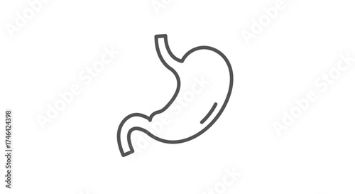 Simplified illustration of a stomach organ in a clean minimalist style on white