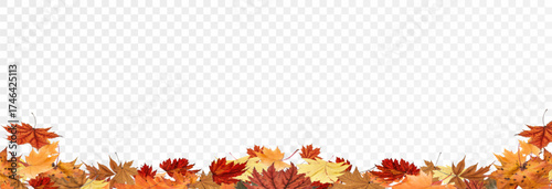 Autumn falling leaves on transparent background, vector, png. Wave of falling leaves in the wind, leaf fall. Rowan berries, acorns, yellow leaves of oak, maple, birch, rowan.