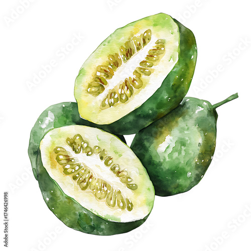 Feijoa png