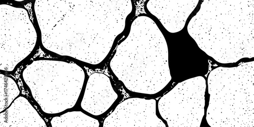 Black crack and dust isolated on white background. Grunge overlay vector with old wall cement texture. distressed cracked surface grunge wall cracked pattern on white and transparent background.