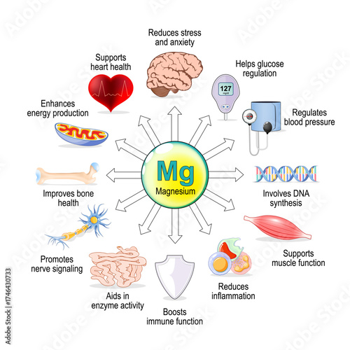 Magnesium role in human health. Mg