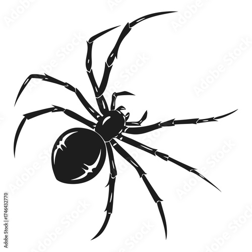 Stylized black widow spider with white markings on black background