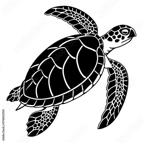 Stylized white sea turtle silhouette on black background