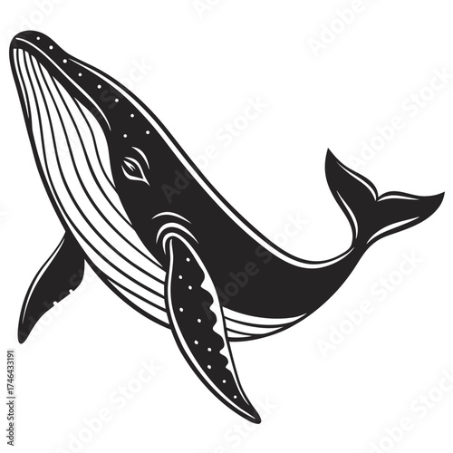Stylized humpback whale illustration