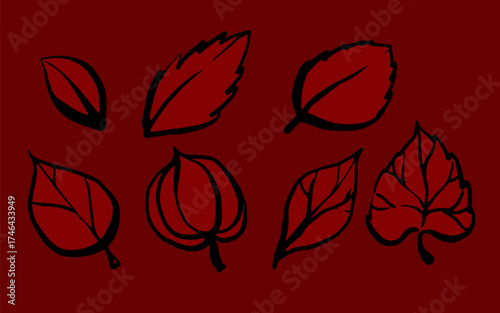 Minimal Outline Leaves on Red Background