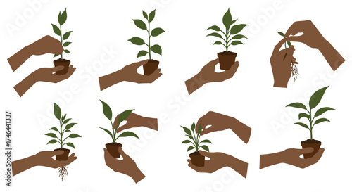 Hands nurturing growing plants in pots a visual sequence of growth