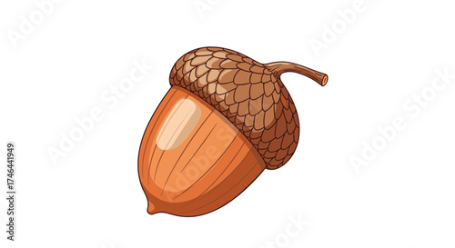 A close up detailed illustration of a single brown acorn with a textured cap on a white background.