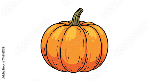 A ripe orange pumpkin sits on a white background waiting for harvest.