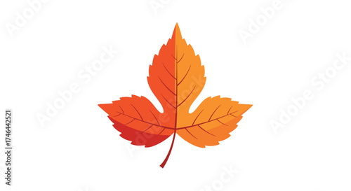 A vibrant autumn leaf with warm colors and a detailed texture.