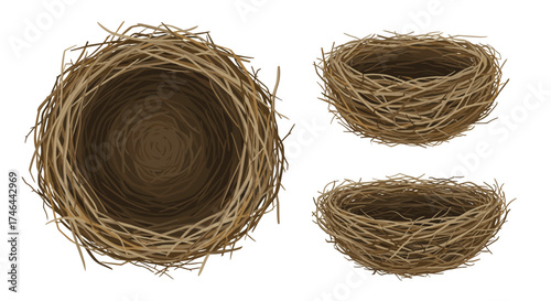 A collection of intricately woven birds nests made from natural materials.