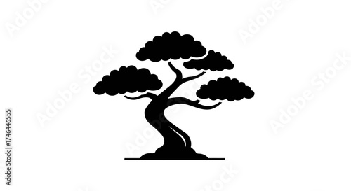 Black and white bonsai tree illustration isolated on white background