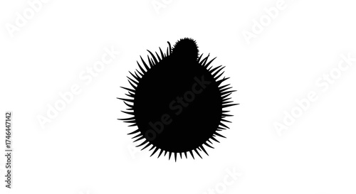 Black silhouette of an unidentified object against a white background