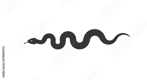 Black snake silhouette on white background for wildlife or design