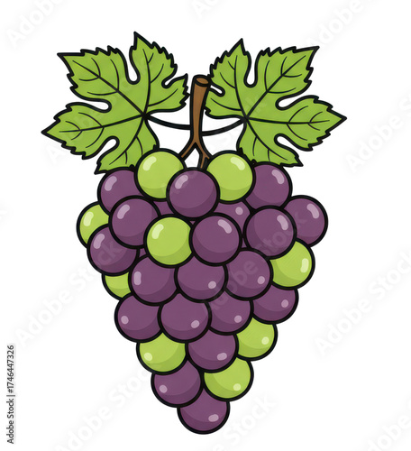 Wallpaper Mural A Bunch of Purple and Green Grapes with Green Leaves and a Brown Stem on a Transparent Background Torontodigital.ca