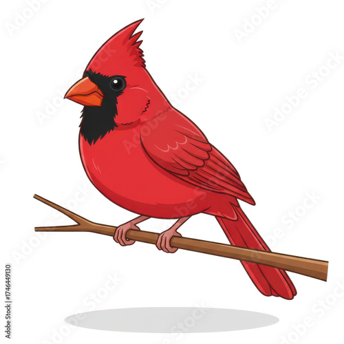 Wallpaper Mural Vibrant Red Cardinal Perched on a Twig with Black Background and Subtle Shadow Torontodigital.ca