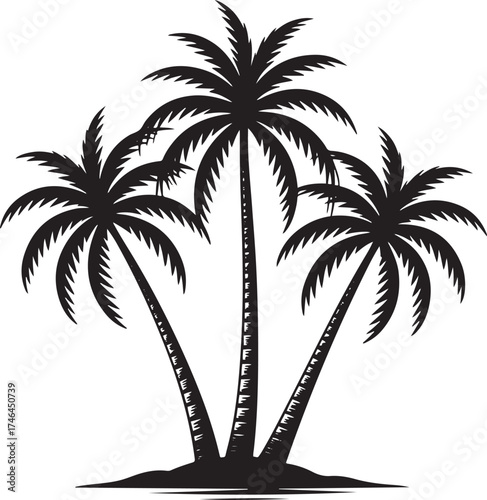 Palm Tree Silhouette Tropical Vacation Destination Landscape Scene