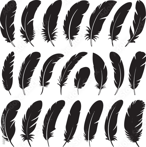 Collection of Black Silhouette Feathers on Transparent Background