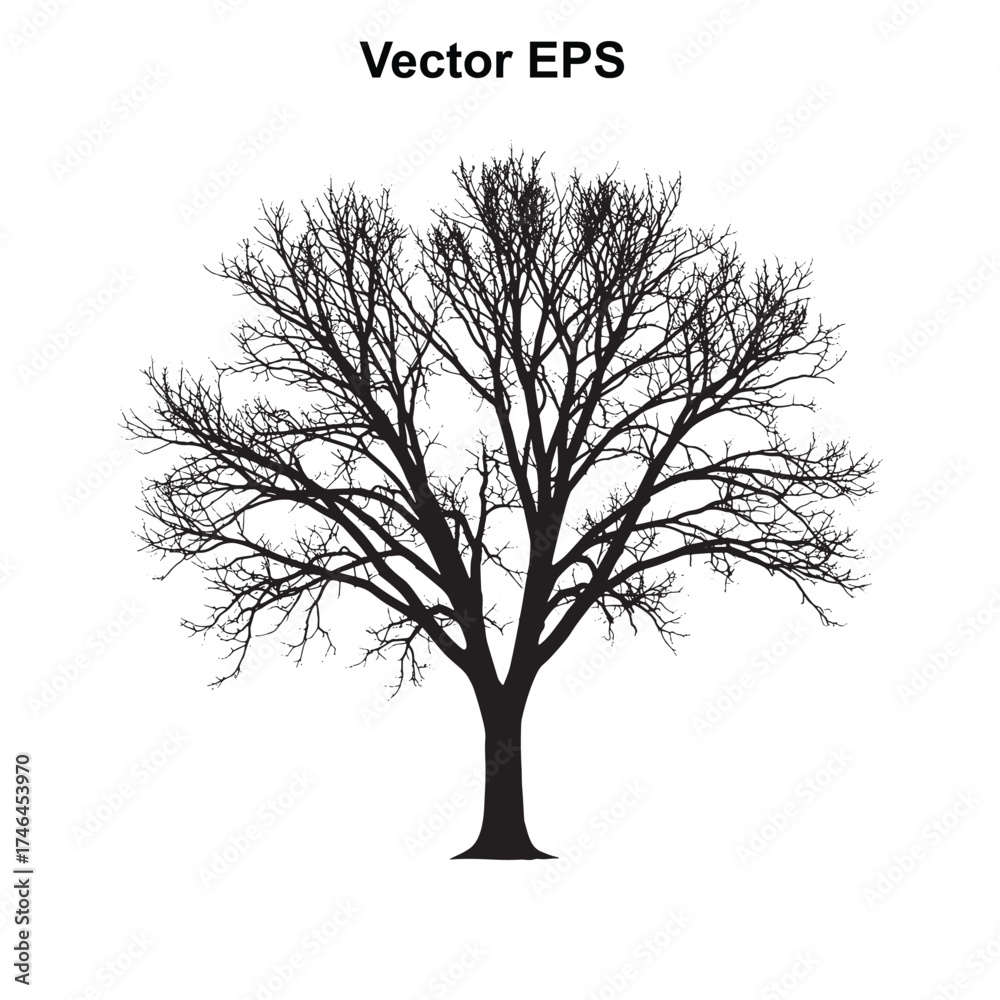Fototapeta premium Vector art of silhouette of a bare deciduous tree
