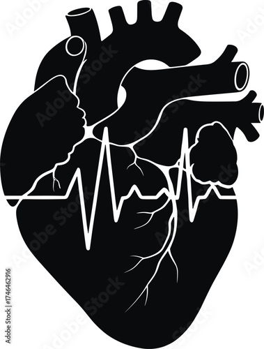 Anatomical heart silhouette with ECG line, medical health illustration, cardiology design artwork, heartbeat graphic, wellness and vitality symbol, anatomy icon