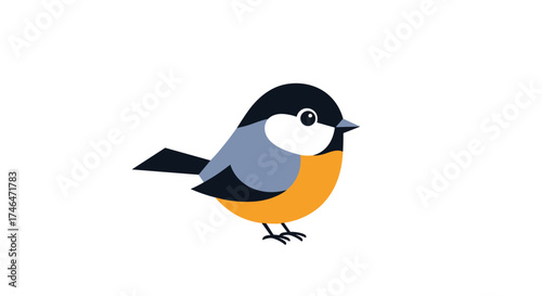 A cute little chickadee bird with a black cap and orange chest.