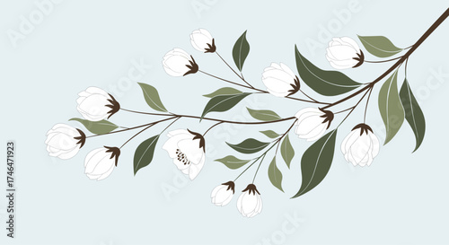 A delicate branch adorned with fluffy white cotton bolls and lush green leaves.