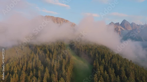 Aerial flight over a sea of clouds in a mountain forst at sunrise.