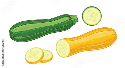A close up of two fresh zucchini and one yellow squash with slices on a white background.