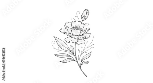 A detailed sketch of a blooming flower with leaves on a stem.