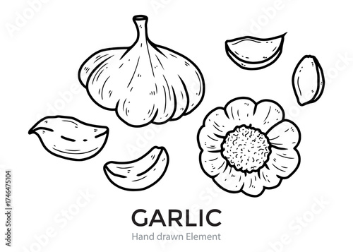 Hand-drawn illustration of garlic: a whole bulb, several cloves, and a garlic flower, presented in a simple black and white line art style.