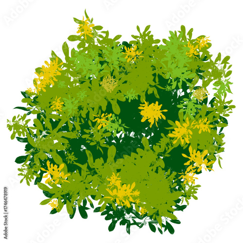 green leaves on white background. Vector illustration