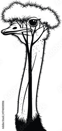 Black and White Stylized Ostrich Head and Neck with Textured Feathers and Speckles bird animal