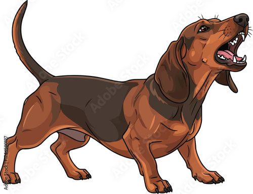 Drever dog barking aggressive vector illustration