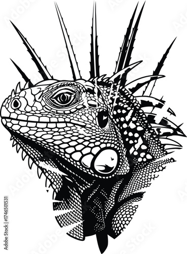 Detailed Black and White Illustration of an Iguana Head with Spikes and Scales reptile lizard