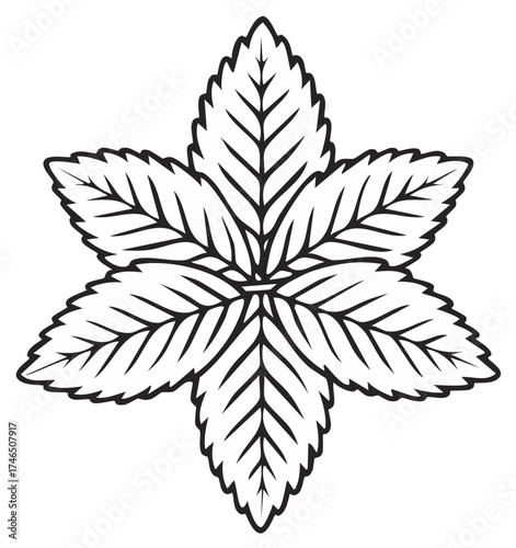 Symmetrical mint leaf star icon in black and white. Minimalist herbal plant graphic illustration.