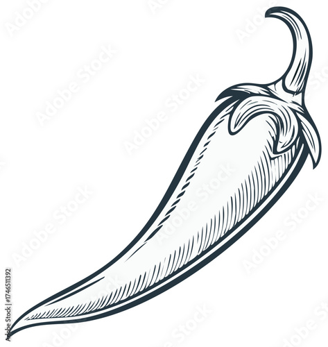 Engraved Graphic of a Hot Chili Pepper for Culinary and Spicy Food Concepts