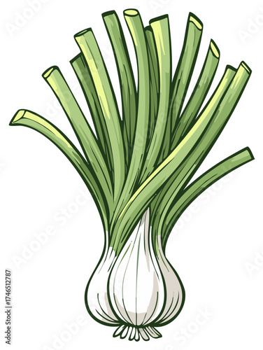 Cartoon illustration of fresh green onions, isolated on white background