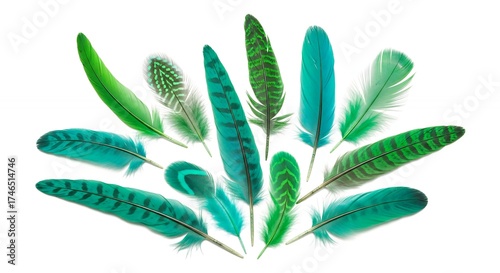 A visually captivating arrangement of various natural feathers, showcasing a beautiful spectrum of greens, teals, and turquoises. Each delicate plume features unique details, including subtle stripes,