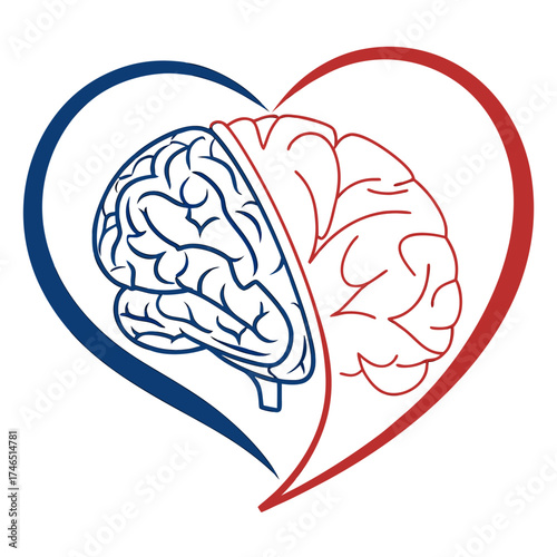 Symbolic representation of the connection between the human brain and heart symbolizing emotional intelligence and mental well being