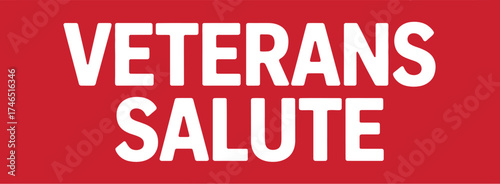 Veterans salute text in white bold font on a solid red background image