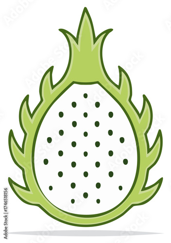 Fresh Green Dragon Fruit Slice Illustration Exotic Pitaya Superfood Healthy Tropical Vegan Graphic