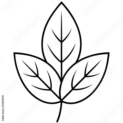 vector illustration of a tree