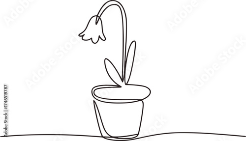 Minimalist line drawing of a drooping bell flower in a pot potted plant