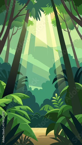 tropical rainforest canopy sunlight shafts