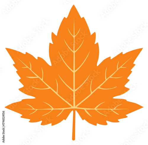 Single orange maple leaf with vein details perfect for autumn themed designs and seasonal decorations