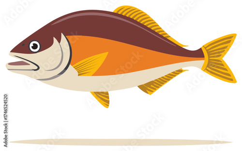 Illustration of a medium sized fish with brown and orange coloring swimming in water