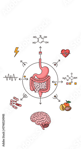 Exploring the intricate connections between the gut microbiome and overall human health including the brain and heart.