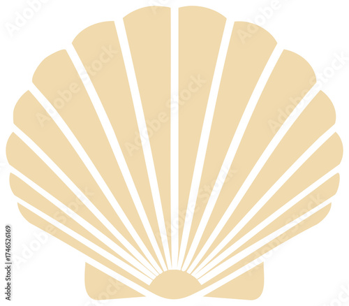 Simple Beige Seashell Design with Thin White Lines, Decorative Beach Theme