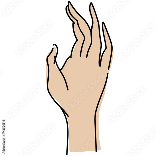 Elegant Hand Illustration with Artistic Lines and Design