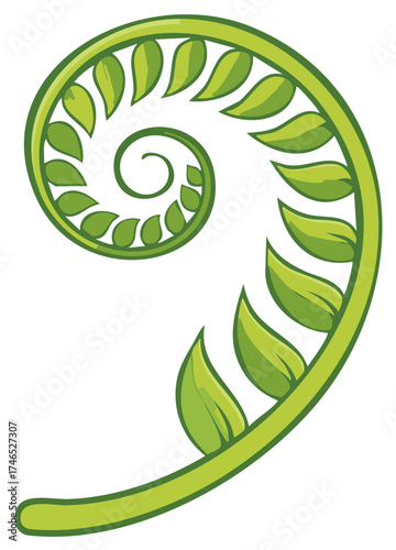 Swirling green fern frond illustration with leaves forming a natural spiral design