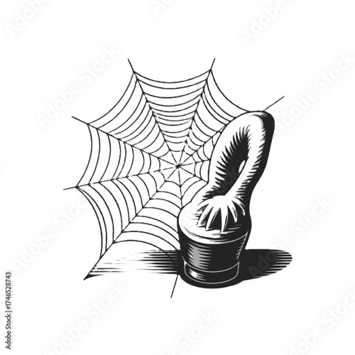 Spider Web and Mysterious Object